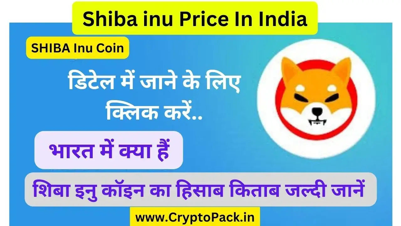 Shiba inu Price In India