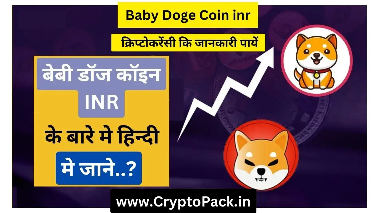 Baby Doge Coin INR